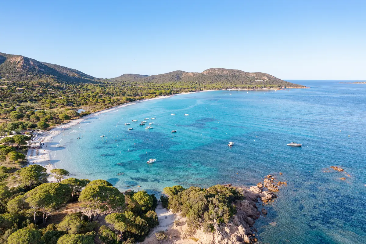 Vue aérienne de la plage de Palombaggia : sable clair en arc de cercle, pins parasols en bordure, eau peu profonde et îles Cerbicale au large